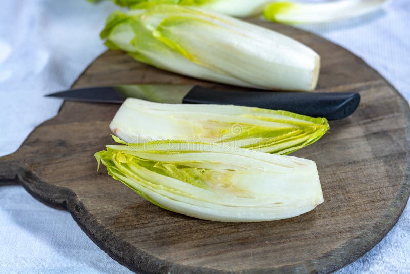 Gruppo di indivia belga verde cruda fresca o di verdure hicory, anche conosciuto come il salade del witlof fotografie stock Gruppo di indivia belga verde cruda fresca o di verdure hicory, anche conosciuto come il salade del witlof fotografie stock