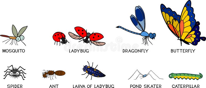 Gruppo di insetti da disegno : mosquito coccinella libellula farfalla ragno pattinatore di formica e bruco isolato su bianco illustrazione di stock