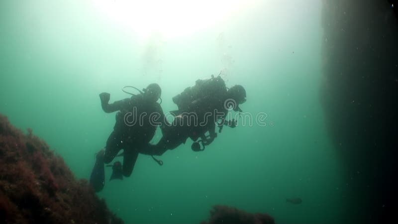 Gruppo di sommozzatori sottomarini sulla decompressione nell'oceano atlantico. archivi video