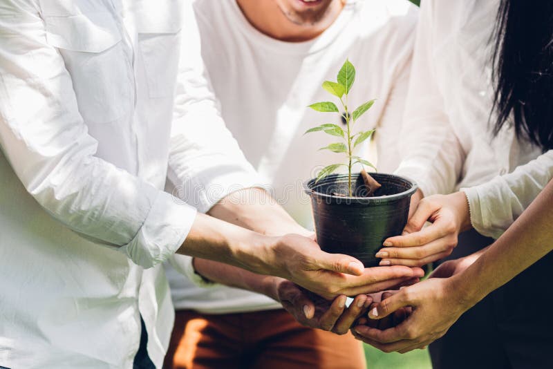 Gruppo di volontari piantano a mani piantando piantine di alberi nel parco Giornata mondiale dell'ambiente e risorse sostenibili, immagine stock Gruppo di volontari piantano a mani piantando piantine di alberi nel parco Giornata mondiale dell'ambiente e risorse sostenibili, immagine stock
