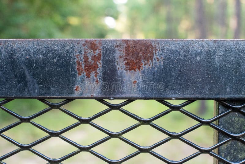 Gekreuzter Schwarzer Eisen-Zaun Im Wald Stockfoto - Bild von ironside