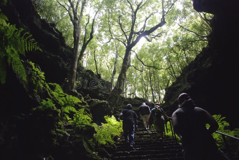 Gruta das Torres cave, Pico island, Azores, Portugal