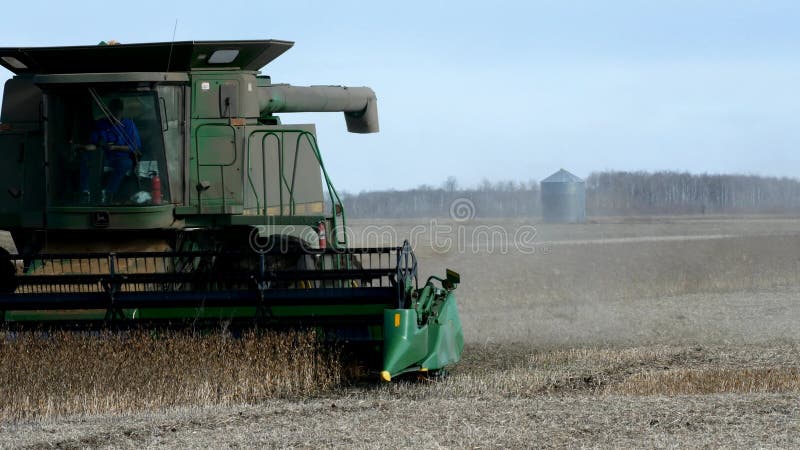 GRYGLA, MN - 2 NOVEMBRE 2018: John Deere Combine che raccoglie campo della soia