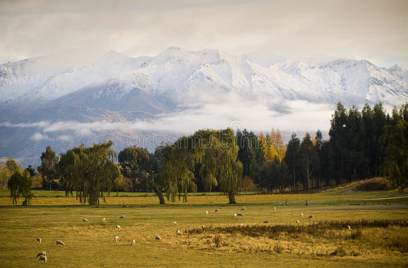 Gryning fields berg royaltyfri bild
