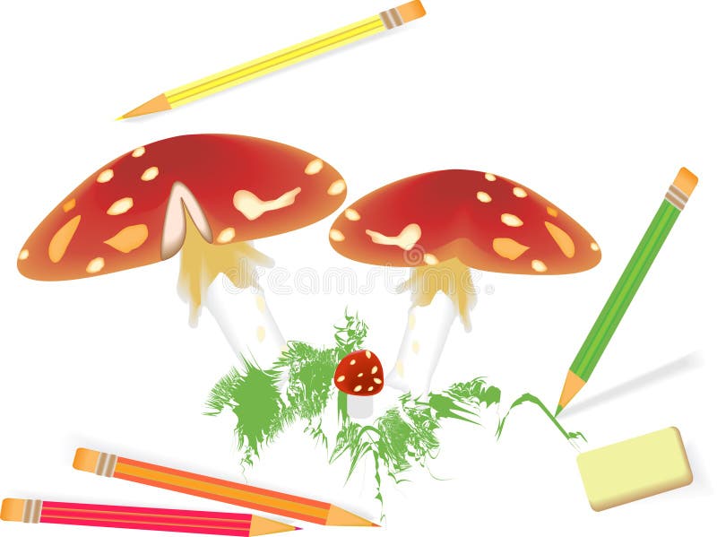 grzyby ilustracji grzyby ilustracji
