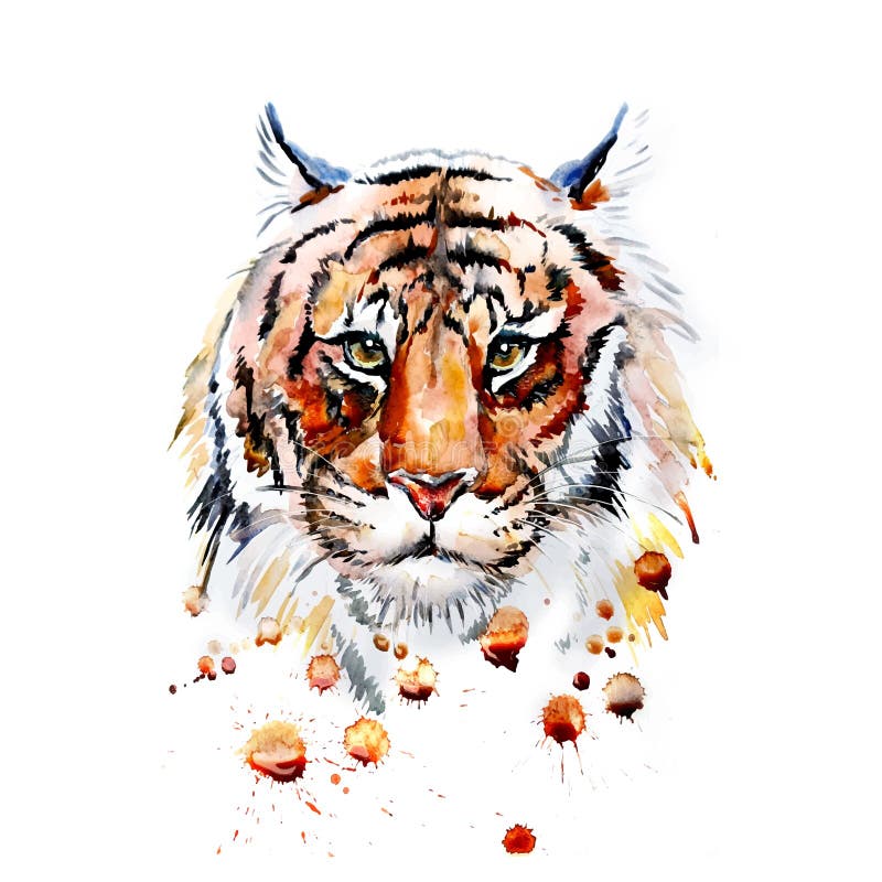Gráfico adulto del tigre, vector stock de ilustración Gráfico adulto del tigre, vector stock de ilustración