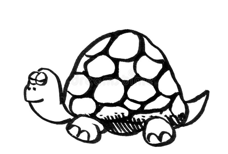 Gráfico de la historieta de una tortuga stock de ilustración Gráfico de la historieta de una tortuga stock de ilustración