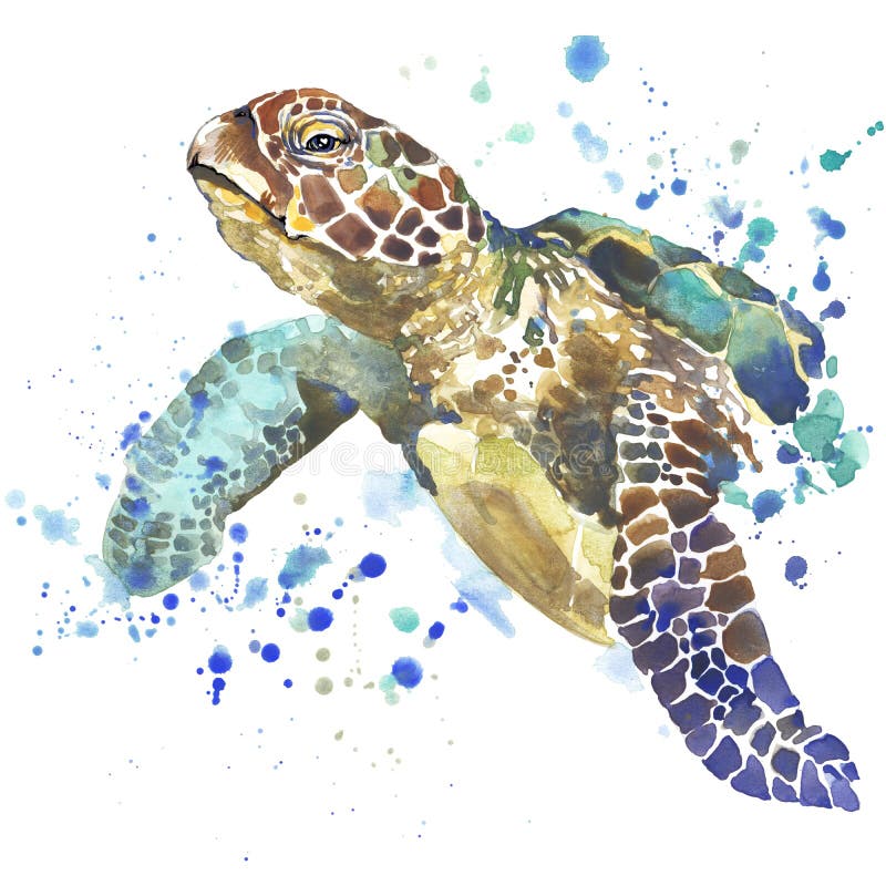 Gráficos de la camiseta de la tortuga de mar el ejemplo de la tortuga de mar con la acuarela del chapoteo texturizó el fondo acua