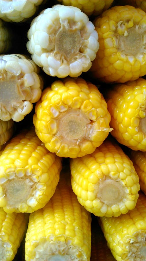 Grãos doces super fervidos fotos de stock