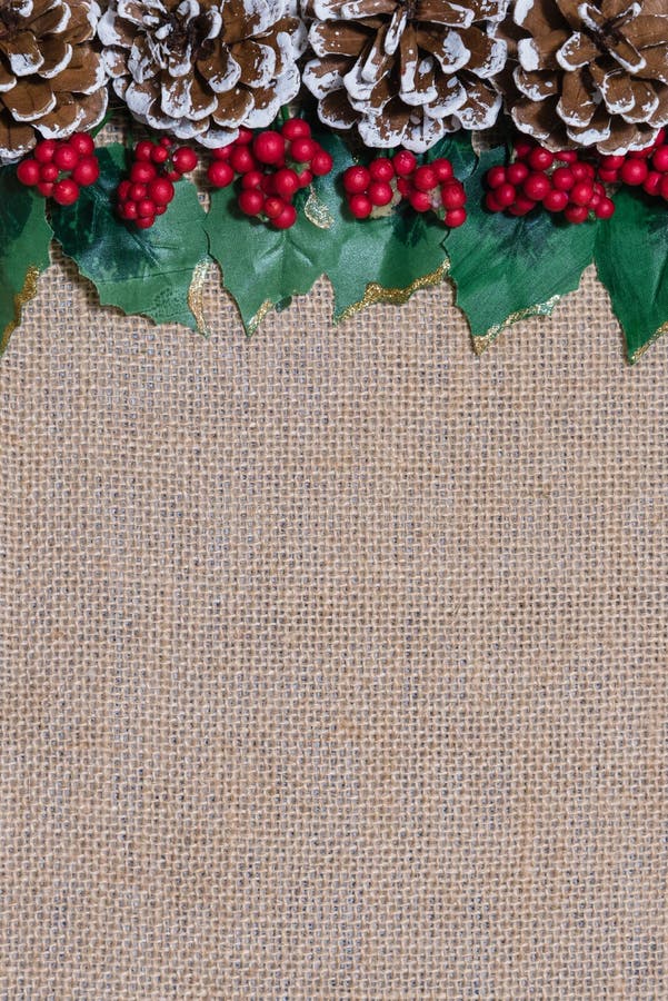 Gräns av julpinecones, järneksidor och röda bär på lantlig säckvävtygbakgrund royaltyfri fotografi Gräns av julpinecones, järneksidor och röda bär på lantlig säckvävtygbakgrund royaltyfri fotografi