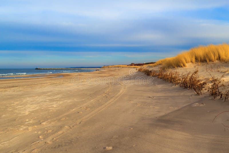 Gräsbeklädda sanddyner vid Östersjöns stränder royaltyfria foton