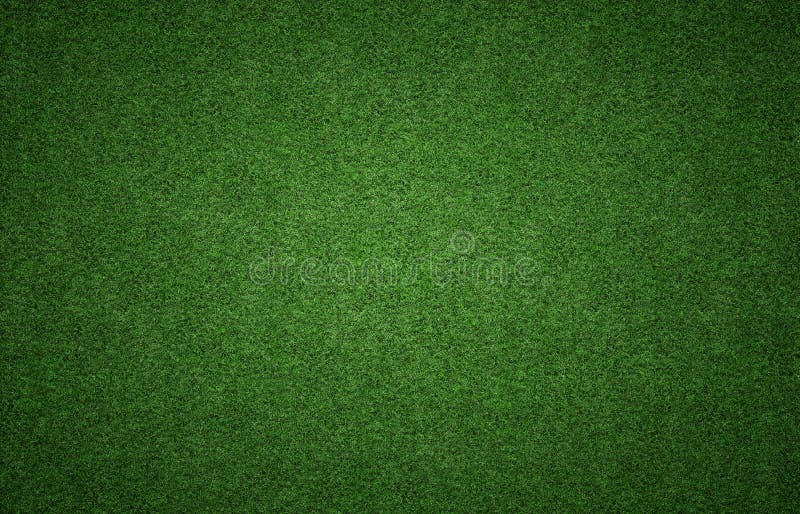Gräs Bakgrundstextur royaltyfria foton
