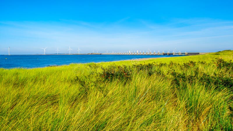 Gräset täckte dyn längs den Oosterschelde vattenvägen fotografering för bildbyråer Gräset täckte dyn längs den Oosterschelde vattenvägen fotografering för bildbyråer