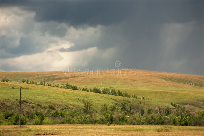 Gråa stormiga himmel- och regnlinjer över gula fält royaltyfri foto Gråa stormiga himmel- och regnlinjer över gula fält royaltyfri foto