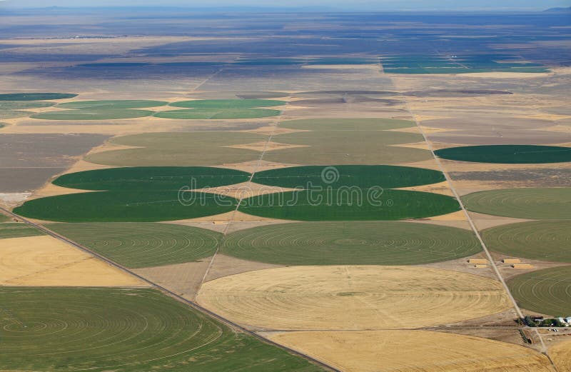 An aerial view of the crop circles created in farm fields by center pivot sprinklers. An aerial view of the crop circles created in farm fields by center pivot sprinklers