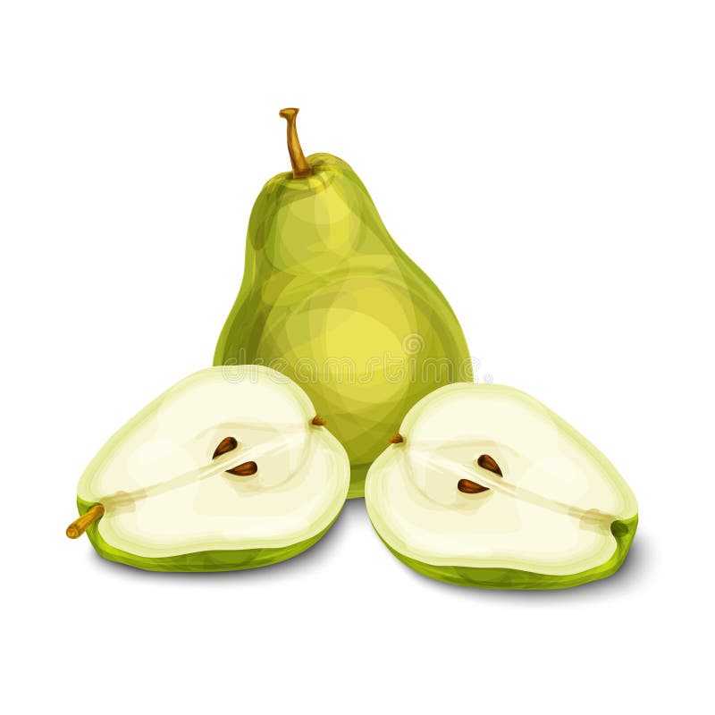 Grön naturlig organisk päronfrukt royaltyfri illustrationer