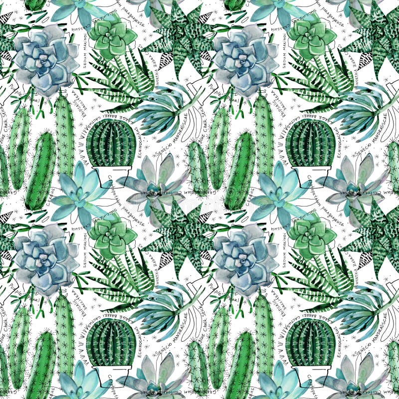 Grön suckulent sömlös modell för vattenfärg royaltyfri illustrationer Grön suckulent sömlös modell för vattenfärg royaltyfri illustrationer
