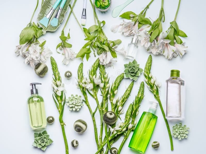 Grön växt- naturlig kosmetisk inställning med flaskor av ansikts- färgpulver, hydrophobic olja som rentvår skum, örter och blommo royaltyfri fotografi Grön växt- naturlig kosmetisk inställning med flaskor av ansikts- färgpulver, hydrophobic olja som rentvår skum, örter och blommo royaltyfri fotografi