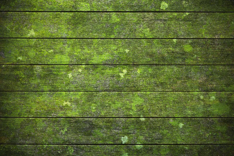 Grön wood bakgrund arkivbild