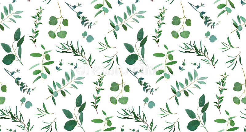 Gröna eucalyptublad. redigerbar vattenfärgsvektorbild. gulddollarfilialer. botaniskt, rostfritt designerelement för bröllopsinbjudan spara datummönstret som är isolerat på vitt