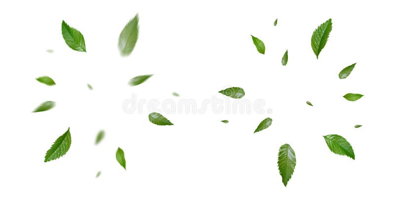 Gröna flytande blad som flyger blad ger grön lövdans luft renare atmosfär enkel huvudbild royaltyfria bilder