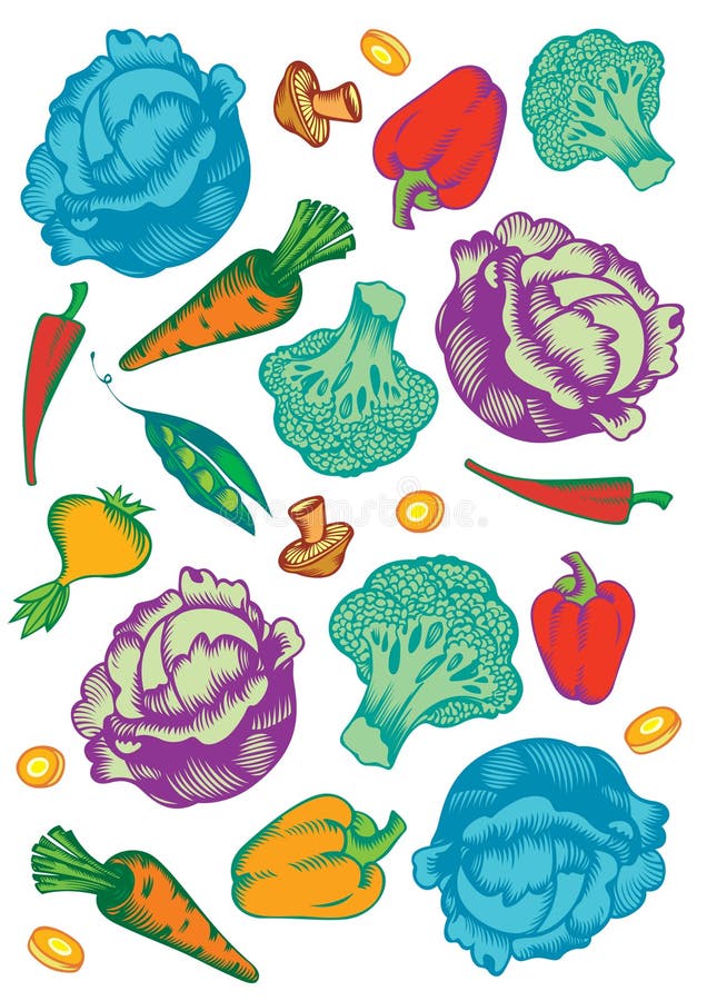 Engraving style vegetables pattern, vegetarian food on the white background. Engraving style vegetables pattern, vegetarian food on the white background