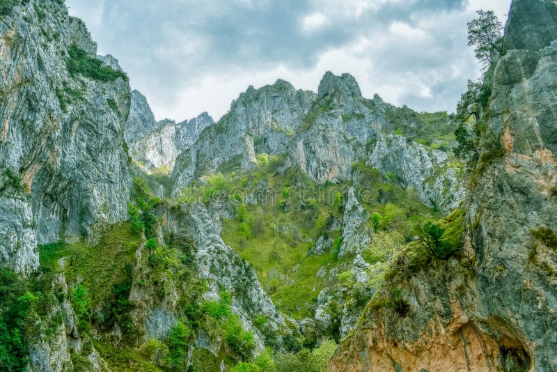 Grönt berglandskap i omsorger som Trekking rutten, Asturias royaltyfri foto Grönt berglandskap i omsorger som Trekking rutten, Asturias royaltyfri foto