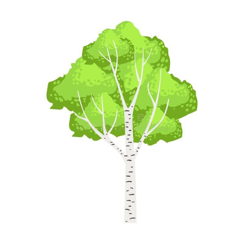 Grönt björkträd Färgrik tecknad filmvektorillustration stock illustrationer Grönt björkträd Färgrik tecknad filmvektorillustration stock illustrationer