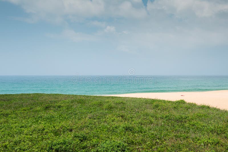Grönt gräs med stranden royaltyfri bild Grönt gräs med stranden royaltyfri bild