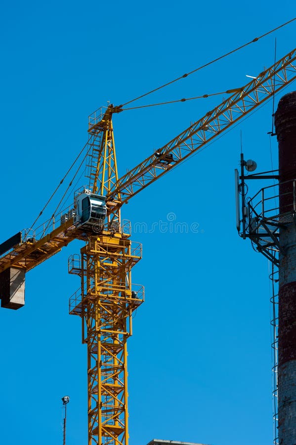 Grulla Amarilla imagen de archivo libre de regalías