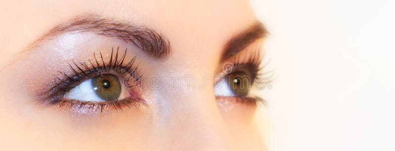Grüne Augen stockfotos Grüne Augen stockfotos