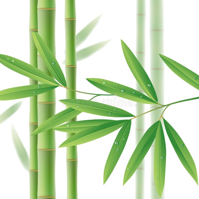 Green bamboo stems with leaves on white. There is in addition a vector format EPS 8. Green bamboo stems with leaves on white. There is in addition a vector format EPS 8