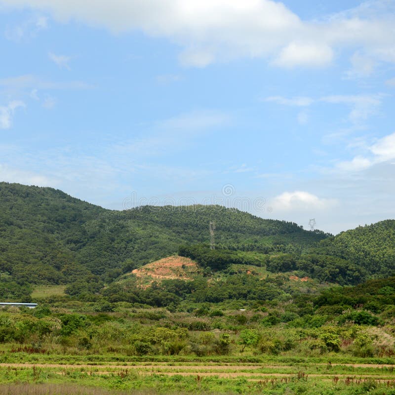 Grüne Bauernhoffelder lizenzfreie stockfotografie