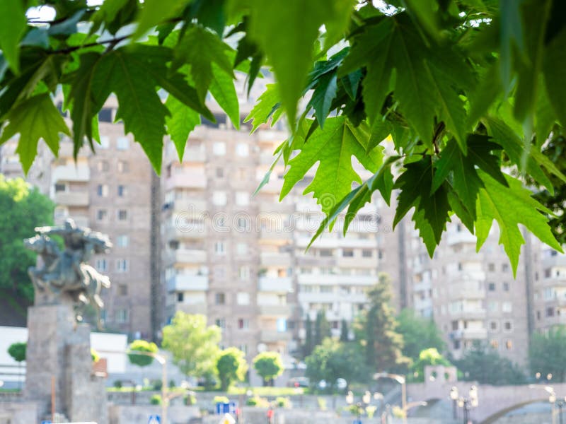 Grüne Blätter und unscharfe Aussicht auf Kapan Stadt stockfoto