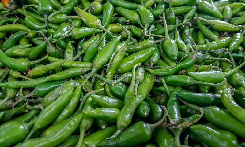 Grüne chillis für den Verkauf angehäuft im Gemüsemarkt lizenzfreie stockfotografie Grüne chillis für den Verkauf angehäuft im Gemüsemarkt lizenzfreie stockfotografie