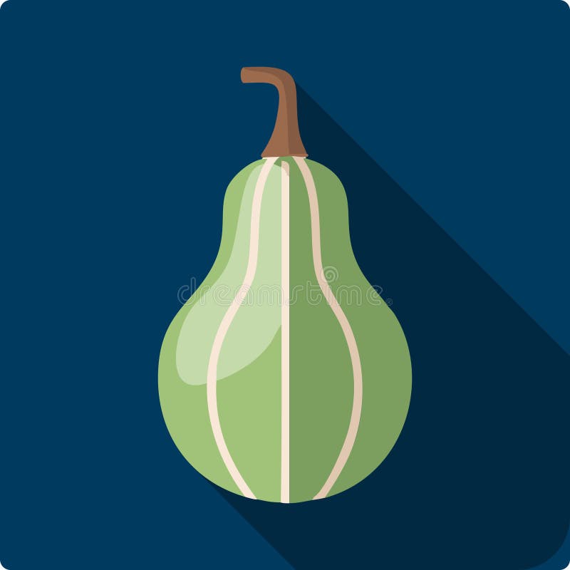 Grüne Flasche Gourd Gemüse Symbol mit Long Shadow Healthy Food Flat Design vektor abbildung