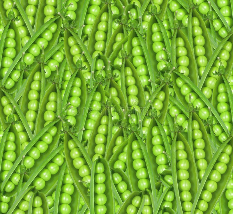 Grüne frische Erbsen als Lebensmittelhintergrund lizenzfreie stockfotos Grüne frische Erbsen als Lebensmittelhintergrund lizenzfreie stockfotos