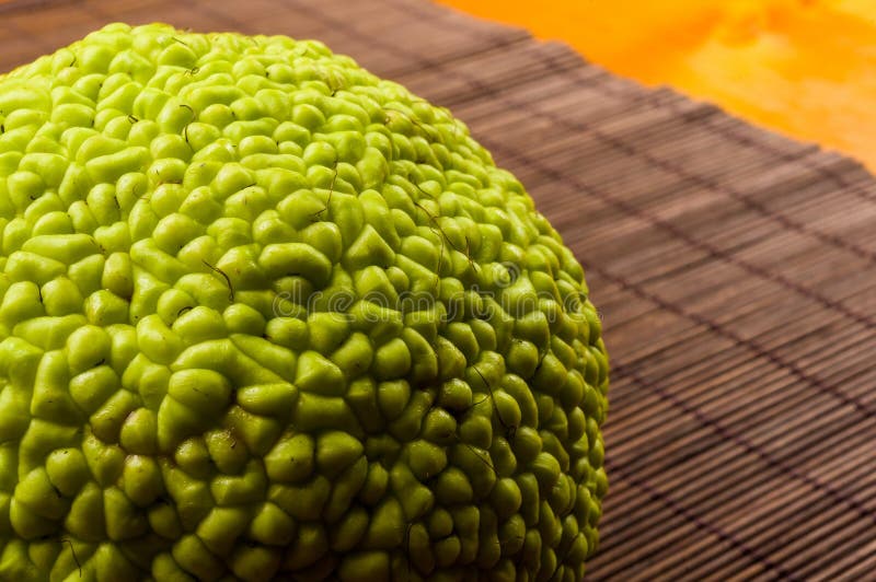 Grüne Früchte von Maclura pomifera Osage-Orangenpferdeapfel-Adam-Apfel wachsen auf die Bambusmatte lizenzfreies stockfoto