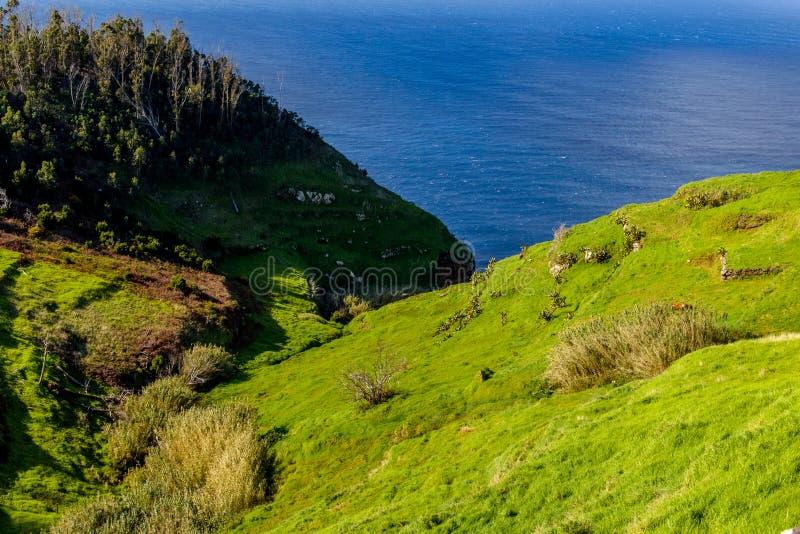 Grüne helle feenhafte Insel von Madeira, Portugal