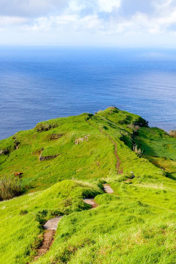Grüne helle feenhafte Insel von Madeira, Portugal