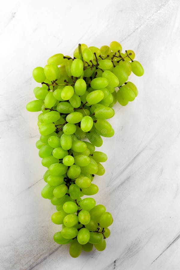 Grüne reife Traubenbeeren lizenzfreie stockfotos Grüne reife Traubenbeeren lizenzfreie stockfotos