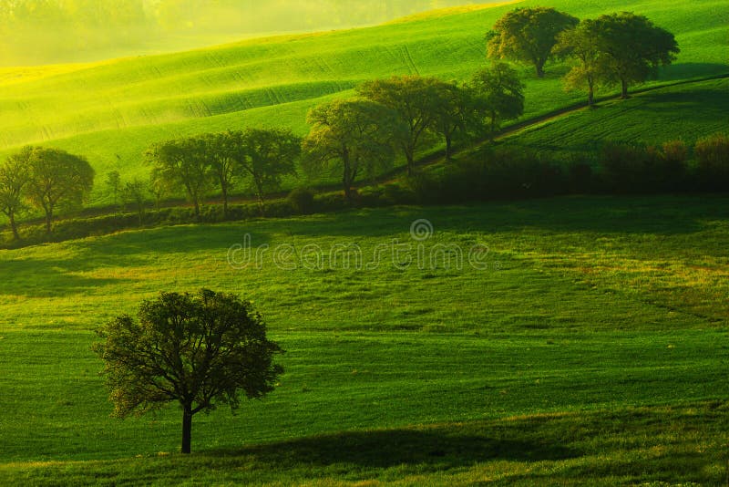 Grüne Sommerwiesenlandschaft Sommer auf den Gebieten Idyllische Ansicht des hügeligen Ackerlands in Toskana im schönen Morgenlich stockfoto