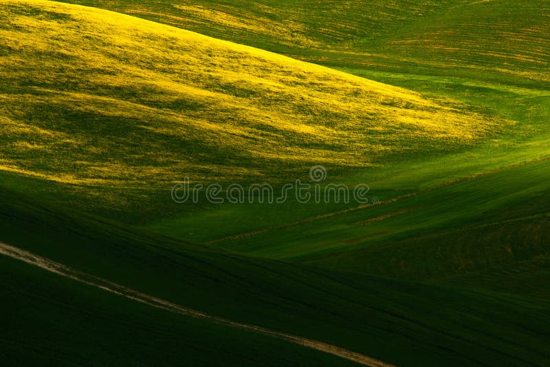 Grüne Sommerwiesenlandschaft Sommer auf den Gebieten Idyllische Ansicht des hügeligen Ackerlands in Toskana im schönen Morgenlich lizenzfreie stockbilder