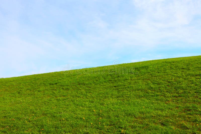 Grünes Wiesenland stockfotografie