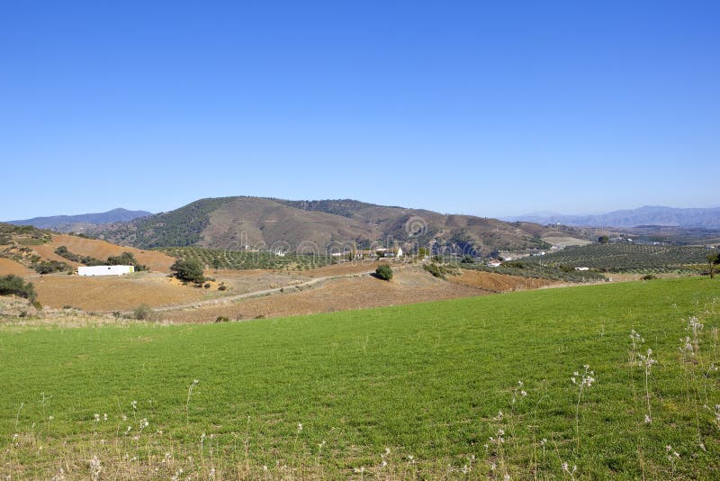Grüne Wiese und Berge von Andalusien lizenzfreies stockbild Grüne Wiese und Berge von Andalusien lizenzfreies stockbild