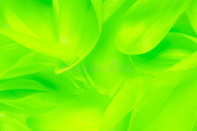 Grüner abstrakter Hintergrund