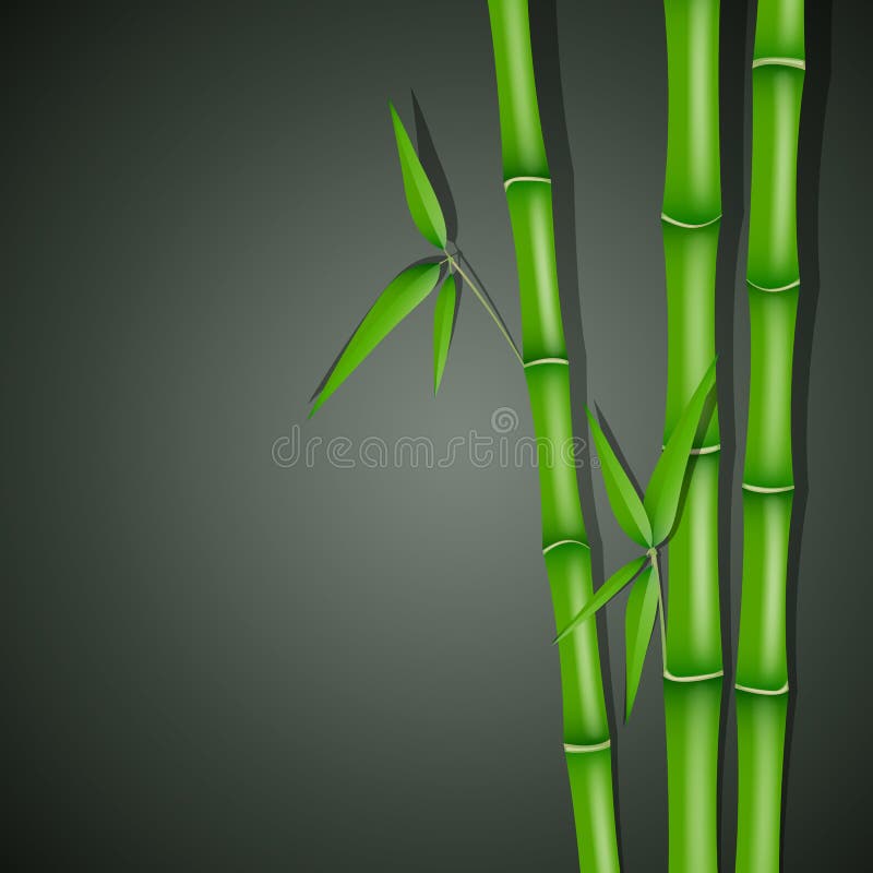 Illustration of a Background with Bamboo. Illustration of a Background with Bamboo