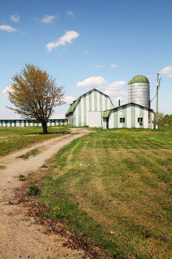 Grüner Bauernhof lizenzfreies stockfoto