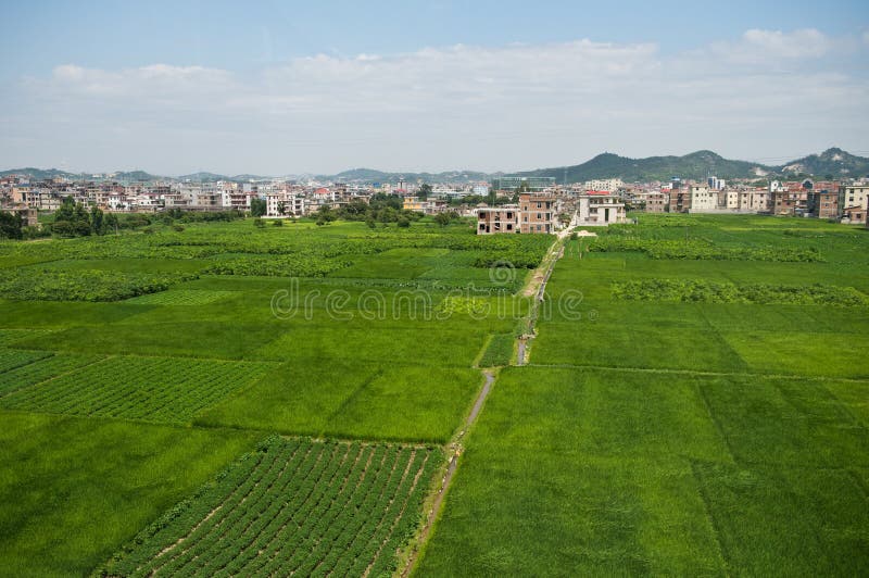 Grüner Bauernhof lizenzfreie stockbilder