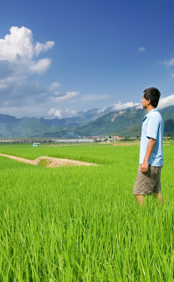 Grüner Bauernhof mit blauem Himmel und ein Mann steht stockbild
